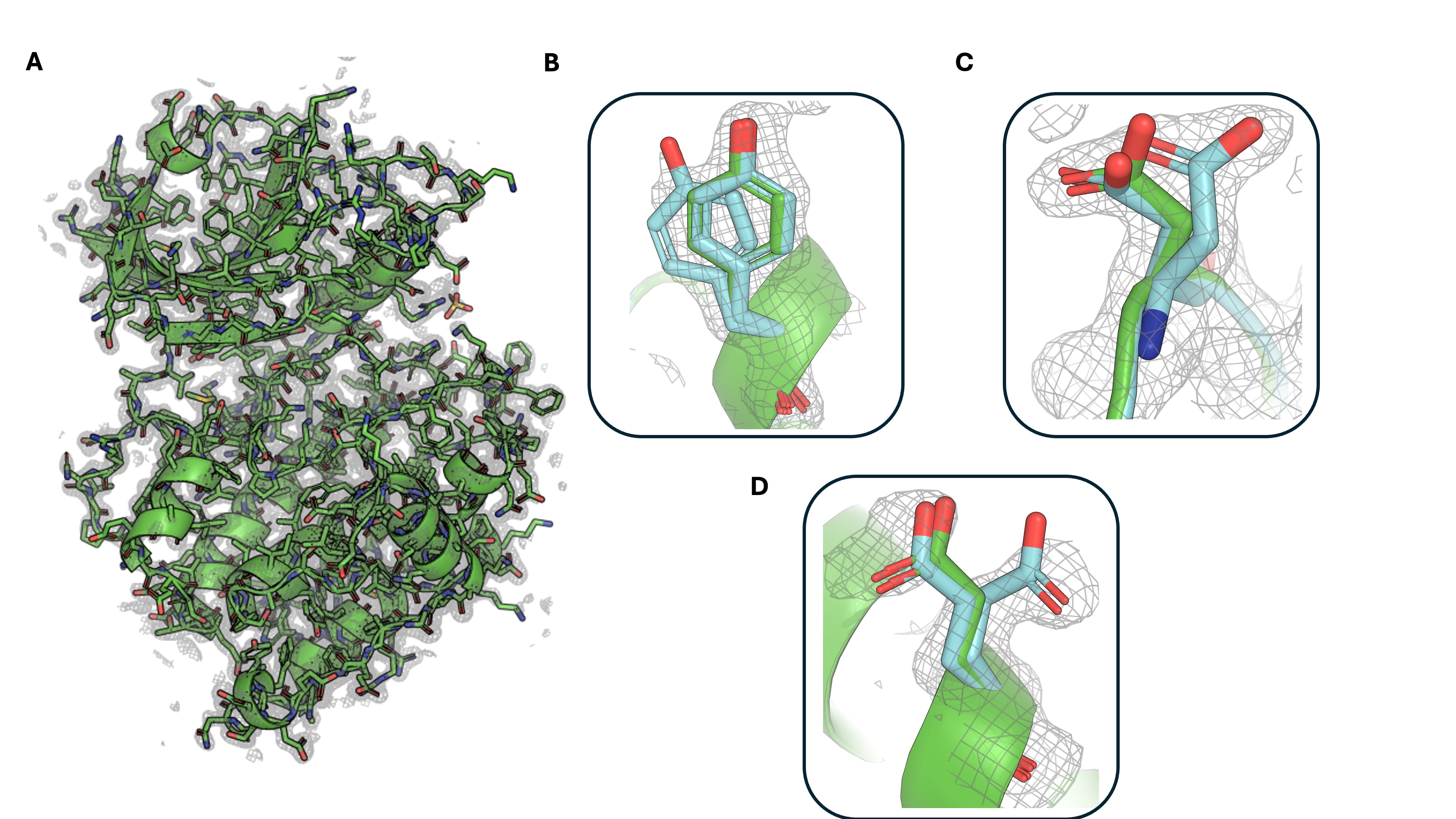 Recovering Conformational Heterogeneity from the Protein Data Bank at Scale